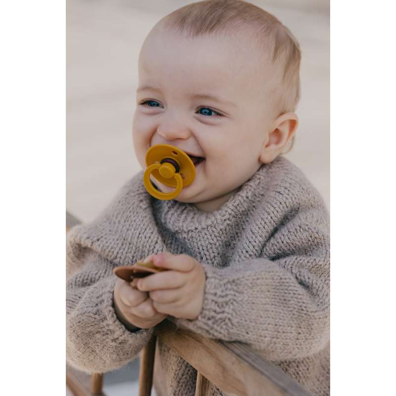 Bibs Rund Colour Napp - bundle - 5 st. - strl. 2 - Nallebjörn 