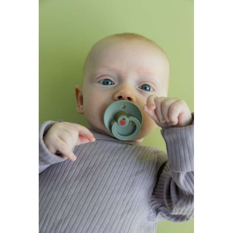 BIBS Rund Colour Napp - Strl. 2 - Naturgummi - Ladybug Studio - Sage