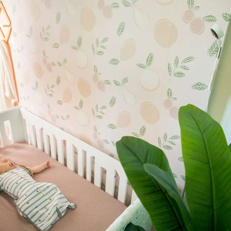 bblüv Babymonitor med App-styrning 